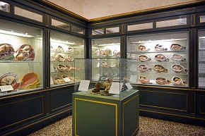 museo ostetrico giovan antonio galli bologna 8-2022 4724